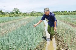 Chính trị - Xã hội Chính trị - Xã hội Góp sức xây dựng quê hương