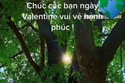 Câu chuyện thời ấy