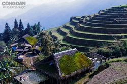 Bản mái lá nhà rêu bên dãy Tây Côn Lĩnh