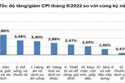 Chỉ số giá tiêu dùng tháng 8 chỉ tăng 0,005% so với tháng trước