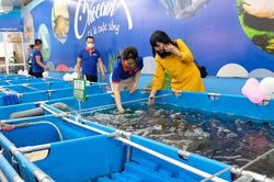 Đa dạng nguồn cung thủy sản cho Thủ đô