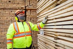Ottawa chính thức phản đối việc Mỹ đánh thuế gỗ xẻ mềm của Canada