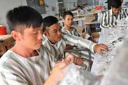 Thí điểm tổ chức hoạt động lao động, hướng nghiệp, dạy nghề cho phạm nhân ngoài trại giam