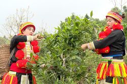 Tinh hoa của núi rừng Na Hang