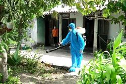 Hơn 179.000 trường hợp mắc sốt xuất huyết, 70 trường hợp tử vong