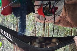 Vụ 2 bộ xương khô trong rừng: Người nhà nạn nhân chia sẻ sự việc bất thường trước đó