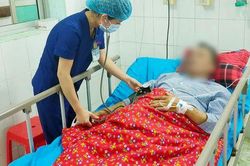 Người đàn ông nhập viện cấp cứu do ăn nhầm loại lá có tính kịch độc, có thể làm chết người trong 'nháy mắt'