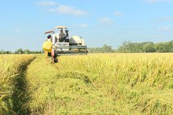Bạc Liêu: Nông dân lao đao vì cửa hàng xăng dầu treo biển hết hàng