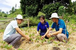 Mai Sơn phát triển các chuỗi cung ứng nông sản thực phẩm an toàn