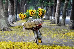 Đến với bài thơ hay: Về đi mùa thu cũ