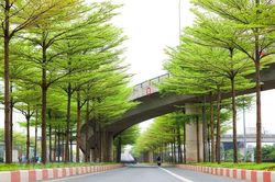 Ngắm những tuyến phố cây xanh đẹp nhất Hà Nội dịp vào Thu