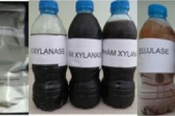 Nghiên cứu công nghệ chế tạo chế phẩm Enzyme trợ nghiền từ vi khuẩn - xạ khuẩn chịu nhiệt và ứng dụng trên dây chuyền sản xuất giấy Tissue
