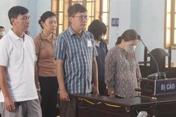 Cố ý làm sai, nhiều nhân viên lãnh án