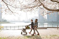 Vì sao gần 50% người Singapore chỉ đi du lịch Nhật Bản?