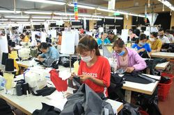 Gỡ nút thắt thiếu nguyên, phụ liệu sản xuất