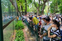 Nghịch lý công viên ở Hà Nội 'vừa thừa, vừa thiếu'