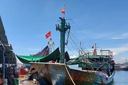 Giá dầu quay đầu tăng, ngư dân lại gặp khó