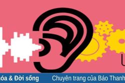 Ứng xử văn hóa