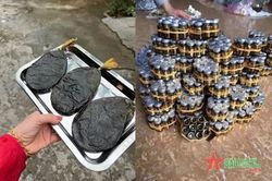 Xử phạt đối tượng rao bán sản phẩm động vật hoang dã trên mạng xã hội