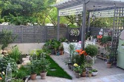Khu vườn 45m² đậm chất điền viên giữa lòng thành phố, tha hồ trồng hoa nuôi cá