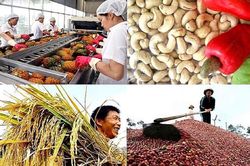 Khai thông thị trường, tăng xuất khẩu nông lâm thủy sản