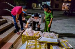 Phát hiện xe khách chở 400 kg nội tạng, nầm vú lợn không rõ nguồn gốc