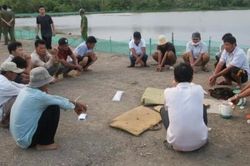 Công an huyện Cần Giờ triệt phá trường gà ven rừng đước