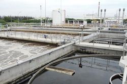 Dệt lưới Sài Gòn bị phạt nặng do xả nước thải vượt quy chuẩn
