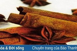 Quế Thường Xuân