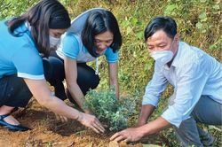 Chính trị - Xã hội Thanh niên Lan tỏa nếp sống xanh