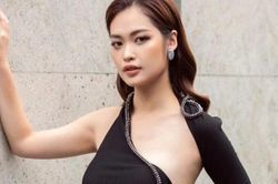 Đơn vị quản lý đang phối hợp bảo vệ danh dự Hoa hậu Nông Thúy Hằng