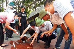 Ngăn chặn không để dịch sốt xuất huyết bùng phát
