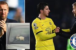 Graham Potter đã nhận lời dẫn dắt Chelsea