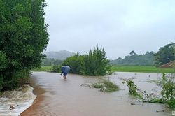 Mưa lớn chia cắt nhiều tuyến đường tại huyện Quế Phong
