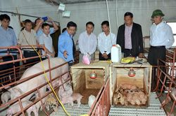 Đẩy mạnh hợp tác, phát triển nông nghiệp với các tỉnh Bắc Lào