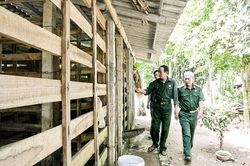Hội Cựu chiến binh xã Hải Lệ chung sức xây dựng nông thôn mới