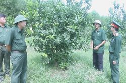 Trang trại tổng hợp cho thu nhập đến 1,5 tỉ đồng/năm