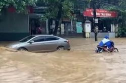 Một người chết do mưa lũ ở Hòa Bình