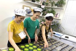 Sốt xình xịch bánh trung thu socola bọc kem trứng, trẻ em mê mẩn
