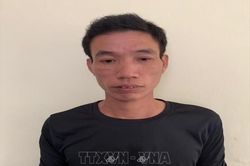 Công an Hà Nội liên tiếp bắt hai đối tượng manh động, cướp giật tài sản