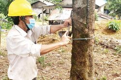 Kinh tế Thêm cơ hội an cư cho người dân các xã đặc biệt khó khăn