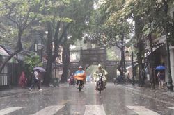 Không tậu được ô tô, cũng nên sắm cái áo mưa tốt!