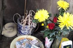 Tin nóng ngày 10/9: Sự thật 'bạch xà' xuất hiện tại đình làng Bắc Giang