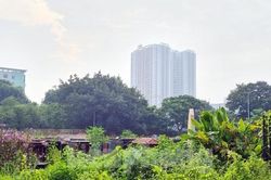 Nơi học sinh bốc thăm để được đi học, đề nghị chủ các khu đô thị giao lại 7 ô đất để xây trường
