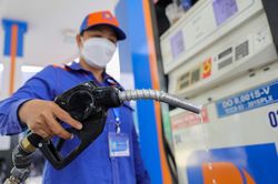 Chuyên gia kinh tế Lê Đăng Doanh 'hiến kế' gỡ khó cho thị trường xăng dầu