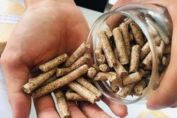 VCCI đề xuất đưa thuế xuất khẩu viên gỗ nén và viên than gỗ về 0%