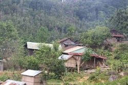 Chủ tịch huyện Nam Giang: Không có việc học sinh ăn cơm chỉ với một món thịt chuột