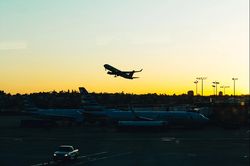 Google Flight chỉ thời điểm vàng để đặt vé máy bay giá rẻ