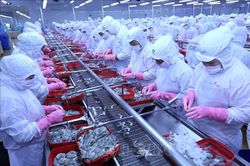 Xuất khẩu thủy sản sang Nga phục hồi nhanh