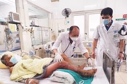 Hoại tử chân, sốc nhiễm khuẩn nặng do vi khuẩn Vibrio vulnificus gây bệnh